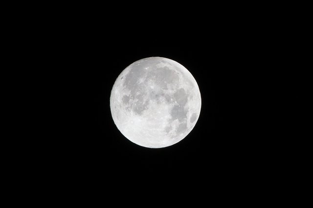 IMG_6714